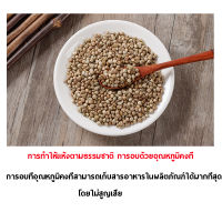 100 กรัม / 200 กรัม / 500 กรัม อาหารนกแก้ว ฮวยมั๊ว  อาหารเสริมนก อาหารเสริมนก เมล็ดฮวยมั้ว สารอาหารสูงสุด