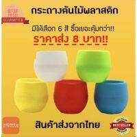 กระถางต้นไม้พลาสติก Rainbow Stone มี 6 สี ปลูกต้นไม้ขนาดเล็ก ต้นไม้ประดับ ต้นไม้นำโชค กระบองเพรช  ส่งจากไทย