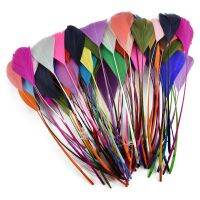 hotx【DT】 20pcs/lot Colored Feather Decoration Geese Feathers Jewelry Handicraft Accessories for