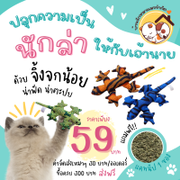 ตุ๊กตาจิ้งจก ของเล่นแมว แถมฟรีแคทนิป 1 ซอง