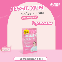 【รับประกันของแท้】(ทดลองทาน) Jessie mum เจสซี่มัม สมุนไพรกู้น้ำนม อาหารเสริมบำรุงน้ำนม  วิธีเพิ่มน้ำนม บำรุงน้ำนม เพิ่มน้ำนมแม่หลังคลอด