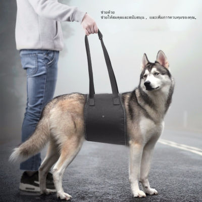H&A (ขายดี)เบอร์ XL 1ชิ้น (วัดรอบตัวก่อนสั่ง) อุปกรณ์พยุงตัวสุนัข#แผ่นพยุงสุนัข#อุปกรณ์กายภาพสุนัข#แผ่นรองช่วยยกตัวสุนัข#อุปกรณ์ประคองตัวสุนัข#แผ่นกายภาพบำบัดสุนัข