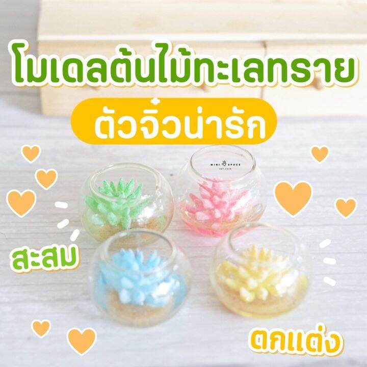 ms5135-โมเดลกระบองเพชรปลอมโหลแก้ว-โหลกระบองเพชร-ถ่ายจากสินค้าจริง-จากไทย