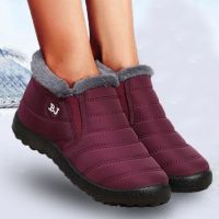 Women Boots Snow Fur Women Shoes Platform Slip On New Shoes Woman Ankle Boots Waterproof Flat Botas Mujer Winter Boot Female