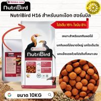 NutriBird H16 สำหรับนกเงือก ฮอร์นบลิ หมดกังวลกับปัญหาการเลือกกินของนก 10KG