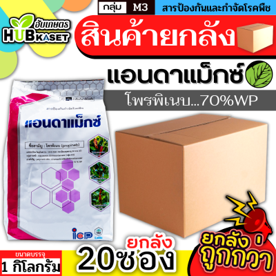 💥💥 สินค้ายกลัง 💥💥 แอนดาแม็กซ์ 1กิโลกรัม*20ถุง (โพรพิเนบ) ป้องกันเชื้อราใบจุด ราน้ำค้าง แอนแทรคโนส