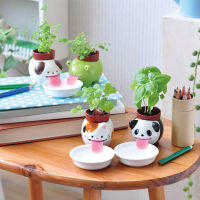 Ecoey Ceramic Toy Decoration Wholesale Children diy Animal Doll Office Desk Surface Panel Green Plant Small Bonsai Set