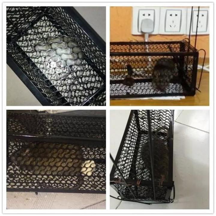 1pcs Rat Cage Mice Rodent Animal Control Catch Bait Hamster Mouse