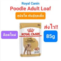 Royal Canin Poodle Adult Loaf ซอง 85g อาหารเปียก สุนัขโตพันธุ์พุดเดิ้ล 85 กรัม