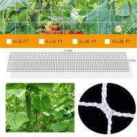 【CW】 Trellis Netting Heavy-Duty Polyester Support Vine Climbing Hydroponics Garden Net Accessories Use