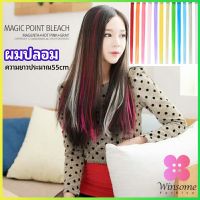 Winsome ช่อผมไฮไลท์ กิ๊บไฮไลท์ ติดง่าย พร้อมส่ง color wig