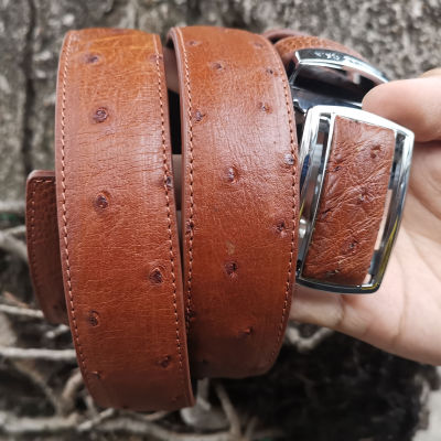 Belt &amp; Buckle สีคาราเมล เพื่อความพากภูมิใจของเอกบุรุษเช่นคุณ เข็มขัดหนังแท้ หนังตัวของนกกระจอกเทศยาวตลอดเส้น