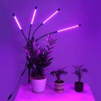 USB 5V 2A LED Grow Light Full-Spectrum ขาตั้ง10-Speed Dimming Timing ปรับสำหรับดอกไม้บ้าน Growth Plants