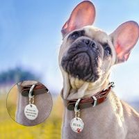 ☏ﺴ☞ 25mm Metal Blank Dog Tag Paw Rhinestone Pet Cat ID Name Engraved Key Ring Chain Pet Supplies