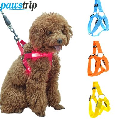 （PAPI PET） LED สายรัดสุนัขสำหรับสุนัขกระพริบแสงลูกสุนัขแมวเสื้อกั๊กเทียมสัตว์เลี้ยงความปลอดภัย LED จูงสุนัขเชือก USB ชาร์จเทียมสุนัขเสื้อกั๊ก XS-XL