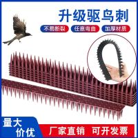 Bird Repellent Spike Villa Anti-Cat New Anti-Dog Thorn Pet Cat Anti-Crawling Thorn Bird Repellent Artifact Anti-Bird Anti-Wall Nail 12 Pieces