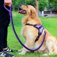 NEW NEW NEW NEW QI For Small Meduim Large Dogs Training Walking Perfect Reflective Dog Harness Leash Set dog Lead