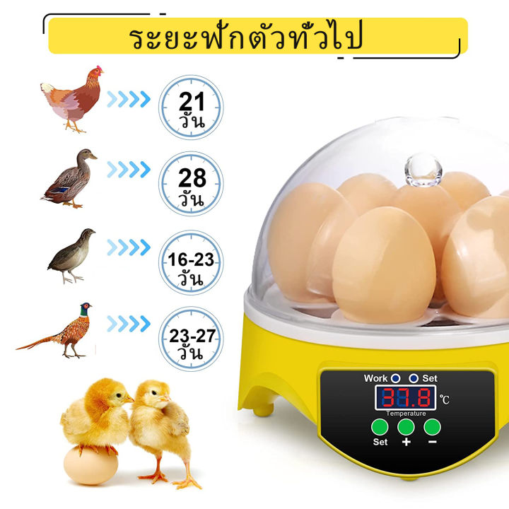 ส่งฟรีด่วน-ตู้ฟักไข่ถูกๆ-7-ฟอง-ตู้ฟักไข่ไก่-เครื่องฟักไข่-เครื่องฟักไข่อัตโนมัติ-อัตราสำเร็จสูง