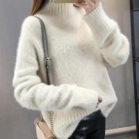 ✻❃ Turtleneck Knitted Sweater Female Pullover Sleeve Teen Sweaters Pull Ladies