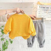 Childrens clothing baby boys spring suits the new 2022 brim fleece 1-3 years old children long sleeve leisure two-piece