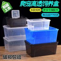 [COD] Climbing pet breeding box amphibious turtle tank guard palace horned frog with sun terrace plastic