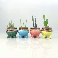 ? กระถางเซรามิก สามขา 4.5 นิ้ว l Three Legged Flower Pots l กระถาง เซรามิก กระถางต้นไม้