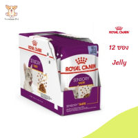 ?ด่วนๆๆ ส่งฟรี[ยกกล่อง 12 ซอง] Royal Canin Sensory Taste Pouch Jelly อาหารเปียกแมวโต กินอาหารยาก เลือกกิน รสชาติพิเศษ อายุ 12 เดือนขึ้นไป จัดส่งฟรี ✨