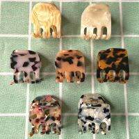 【cw】 Hair for Claw Clip Small Acetate Crab Accessories Barrettes 1