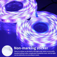 LED Strip Light Lamp String Lighting Waterproof RGB 5050 LED Light Band Bluetooth Music Sync With Color Changing for Home Party