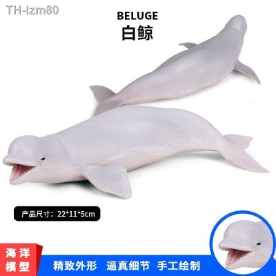 🎁 ของขวัญ Simulation model of solid large whale Marine static plastic toy development props toys for childrens cognitive