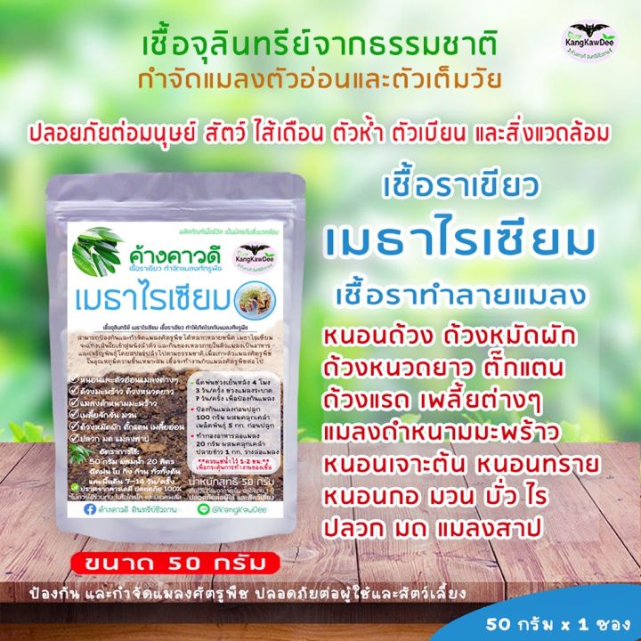 ปุ๋ยฟื้นบำรุงต้นใบ-ไม้ใบ-ไม้ด่าง-ไม้ฟอกอากาศ-ไม้ประดับไม้ดอก-ใบเหลือง-ใบไหม้-ใบเล็ก-ต้นไม่โต-รากเน่า-ปุ๋ยค้างคาวดี-เร่งราก-เร่งต้นใบ