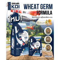 [PROMOTION ซื้อ 6.5 ฟรี 6.5กก.] SAKURA KOI WHEAT GERM(Floating) 6.5kg - อาหารปลาคาร์ฟ สูตรวีทเจิร์ม ย่อยง่าย สุขภาพดี (เม็ดลอย) 6.5กก.