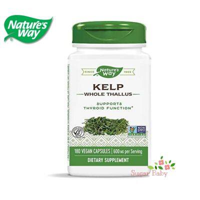 Natures Way Kelp Whole Thallus 600 mg 180 Vegan Capsules สาหร่ายเคล์ป