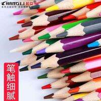 Color Pencil Set Color Pencil ChildrenS Painting Filling Pencil Brush Kindergarten Brush Color Lead Art Supplies Drawing Drafting