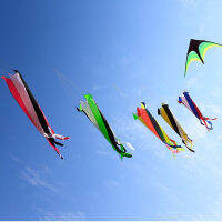 Free shippinglarge windsock kite outdoor toys flying nylon ripstop kites for adults koi fish dacron aquiloni