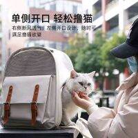 out package translucent backpack shoulder clearance web celebrity breathable mesh cat inclined bag square