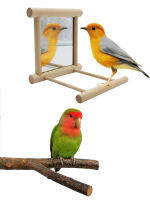 Burung Cermin Mainan Interaktif Kayu dengan Perch untuk Nuri Kecil Budgies Parakeet Conure Lovebird อุปกรณ์เสริมกรง