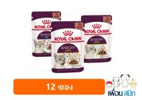 ใหม่ Royal canin Sensory Pouch อาหารแมวเปียก พรีเมี่ยม ขนาด 85 g. (ยกโหล 12 ซอง)