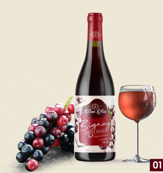 Bignay (Bugnay) Wine Don Rei Lazada PH