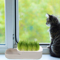 【Ready Stock】 Cat Grass Hydroponic Planter Cat Snack Planting Box Indoor Cat Grass Planter