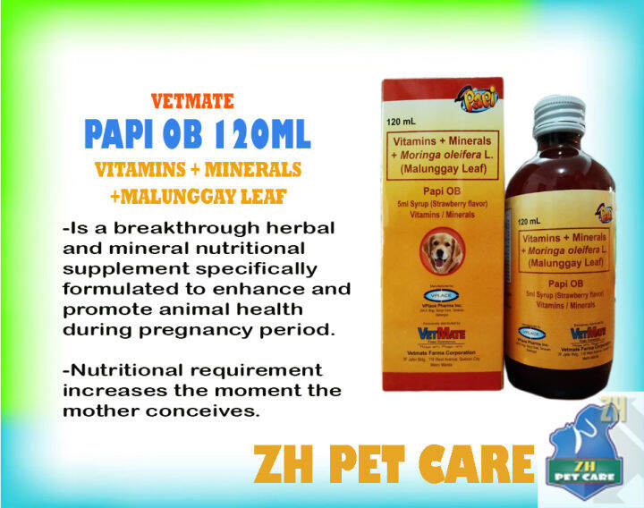 ZH. PAPI OB Vitamins + Minerals (MALUNGGAY LEAF) (120ml) Lazada PH