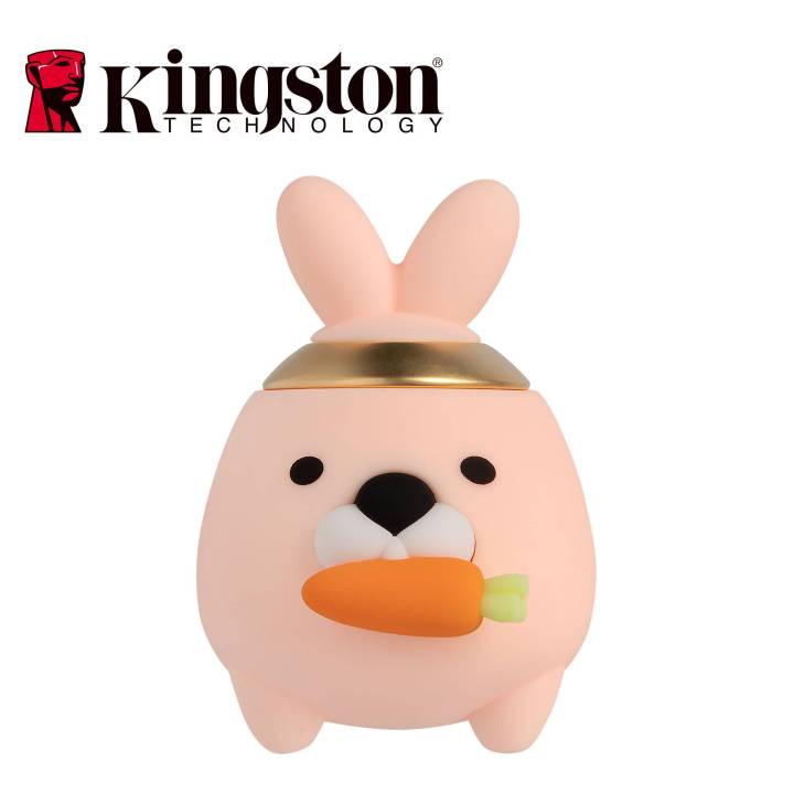 kingston-dcny23-64gb-ประกัน5ปี