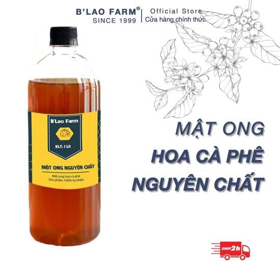 Mật ong nguyên chất hoa cà phê b lao farm xuất xứ lâm đồng dành cho xuất - ảnh sản phẩm 1