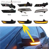 Dynamic Turn Signal Light LED Side Rearview Mirror Sequential Indicator Blinker Lamp for Ford Focus 2 3 Mk2 Mk3 Mondeo Mk4 EU