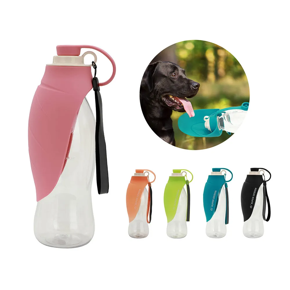 are water bottles safe for dogs