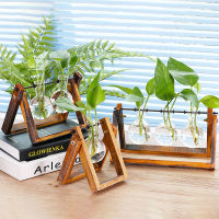 Creative Terrarium Hydroponic Plant Wooden Frame Decoration Vase Glass Tabletop Plant Decoration Bonsai Home Decor Flower Vase