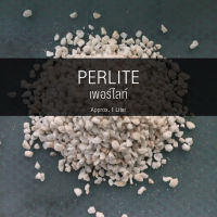 เพอร์ไลท์ (PERLITE) 1 ลิตร