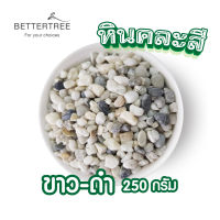 หินสีขาวคละสีดำเม็ดเล็ก น้ำหนัก 250 กรัม หินสี หินใส่กระถางเล็กๆ หินแม่น้ำ หินใส่แจกัน หินตกแต่งสวนถาด หินกระบองเพชร