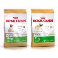 นาทีทอง !!! ส่งฟรี Royal Canin Pug Junior 1.5Kg อาหารสุนัขแบบเม็ด สำหรับลูกสุนัขพันธุ์ปั๊ก หลังจากหย่านม - 10 เดือน ขนาด 1.5 กิโลกรัม