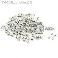 ☞❐๑ 100 Pcs 5mm x 20mm Fast Blow Type Glass Tube Fuses 10A 250V Replacement